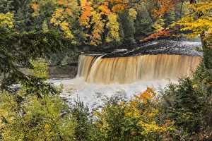 Tannin Prints: Tahquamenon Falls and fall colors, Upper Peninsula of Michigan