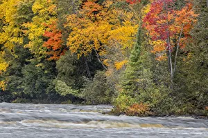 Images Dated 4th August 2020: Tahquamenon River and fall colors, Upper Peninsula of Michigan