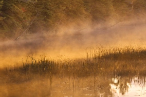 Tahquamenon River at sunrise, near Paradise, Michigan, Upper Peninsula of Michigan