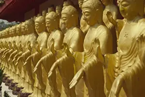 Peace Prints: Taiwan, Foukuangshan Temple, Standing gold-colored Buddha statues at a Buddhist shrine
