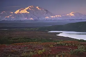 September Prints: Taken in early September in Denali National Park near Wonder lake