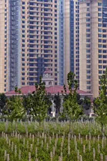 Yantai Prints: Tall apartment buildings next to vineyard at Chateau Changyu-Castel, a joint venture