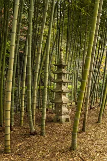 Bamboo Prints: A tall pagoda statue in the center of a tall bamboo grove, Akebonoyama Park, Japan
