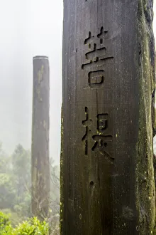 Signpost Prints: Tall wooden steles at the Wisdom Path, Lantau Island, Hong Kong, China
