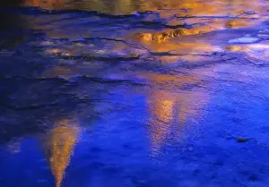 Tamarack trees reflect on newly formed ice on Lost Creek in the Swan Valley of