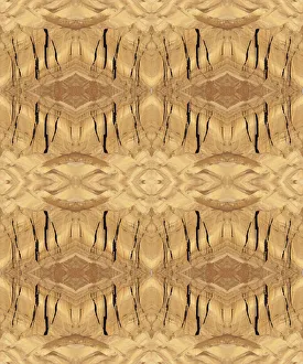 Abstract Collection: Tan and brown abstract