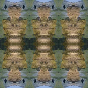 Montage Prints: Tan, green and blue abstract
