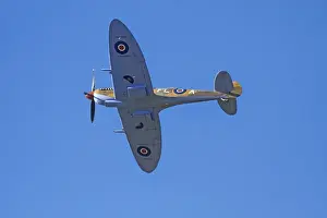 Tandem Prints: Tandem Supermarine Spitfire Trainer - British and allied WWII Fighter Plane