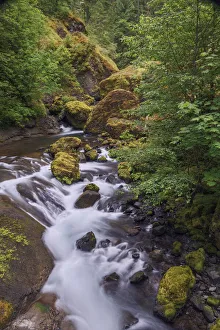 Images Dated 29th December 2021: Tanner Creek, Columbia River Gorge, Oregon