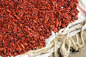 Images Dated 21st March 2006: Tanzania: Zanzibar, StoneTown, Darajani Market, Hurumzi section of town, red chilis