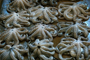 Images Dated 21st March 2006: Tanzania: Zanzibar, StoneTown, Darajani Market, Hurumzi section of town, octopus for sale