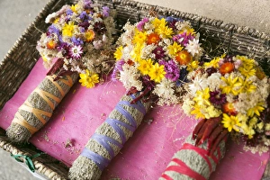 Herb Prints: Taos, New Mexico, USA. Colorful Smug sticks