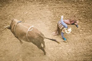 Sport Prints: Taos, New Mexico, USA. Small town western rodeo. Bull riding competition