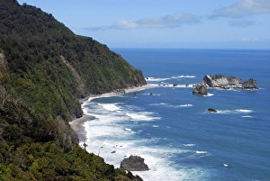 Lynn Seldon Prints: The Tasman Sea, Karamea, New Zealand