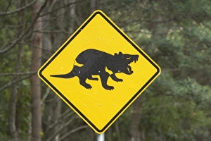 Tasmanian Devil warning sign, Tasman Peninsula, Southern Tasmania, Australia