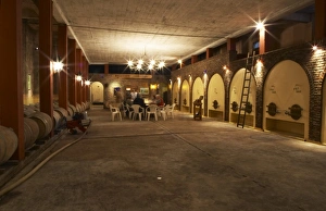 Images Dated 17th August 2005: A tasting in the cellar with barrels and concrete fermentation tanks. Bodega Castillo Viejo Winery