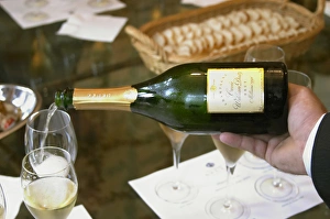 In the tasting room a waitor pouring champagne for a tasting Cuvee William Deutz In the tasting room a waitor pouring champagne for a tasting Cuvee William Deutz