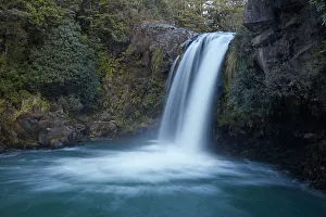 Tawhai Falls, Whakapapanui Stream, Tongariro National Park, Central Plateau, North Island