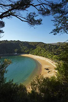 Te Pukatea Bay, Abel Tasman National Park, Nelson Region, South Island, New Zealand