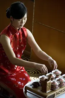 Images Dated 7th November 2008: Tea hostess prepares for a Chinese tea tasting aboard a luxury Yangzi River cruise ship