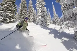 Exercise Prints: Telemark Skier enjoying blue sky powder day at Whitefish Mountain Resort in Montana