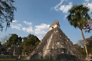 Images Dated 1st April 2009: Temple of the Giant Jaguar, Tikal mayan archaeological site, Guatemala
