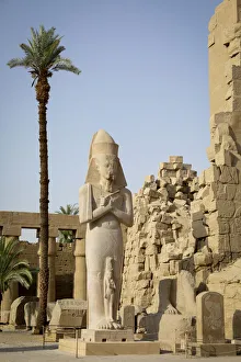 Images Dated 4th July 2019: The Temple of Karnak at Luxor, Egypt