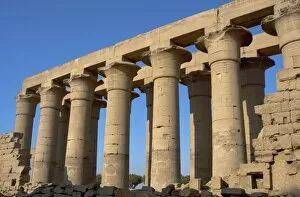 Temple of Luxor. Colonnade with two rows of seven smooth shaft campaniform columns