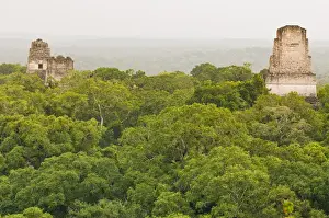 Images Dated 4th November 2010: Temples in Tikal National Park (Parque Nacional Tikal) UNESCO World Heritage Site