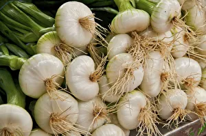 Flavor Prints: Tender Green onions are perfection at this farmers market in the French village of Louhans