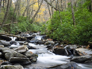 Images Dated 18th October 2014: Tennessee, Great Smoky Mountains National Park, Alum Cave Creek