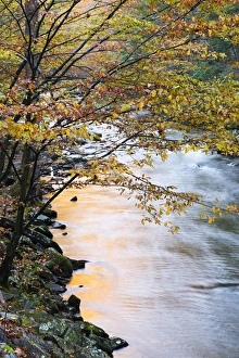 Tennessee, Great Smoky Mountains National Park, Little River