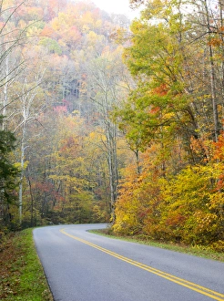 Images Dated 28th October 2014: Tennessee, Great Smoky Mountains National Park, view along Little River Road