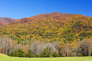 Images Dated 27th October 2014: Tennessee, Great Smoky Mountains National Park, Cades Cove