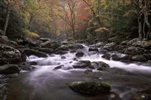 Images Dated 25th August 2005: Tennessee, Great smoky Mt NP, Stream in fall at Tremont