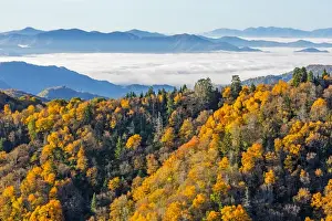 Tennessee / North Carolina, Great Smoky Mountains National Park, Newfound Gap