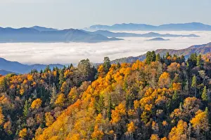 Public Lands Prints: Tennessee / North Carolina, Great Smoky Mountains National Park, Newfound Gap