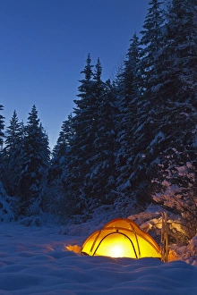 Tent glows at dusk during winter camping near West Glacier, Montana, USA