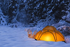 Images Dated 5th December 2010: Tent glows at dusk during winter camping near West Glacier, Montana, USA