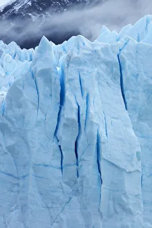 Bicycle Prints: Terminal face of Perito Moreno Glacier, Parque Nacional Los Glaciares, Patagonia