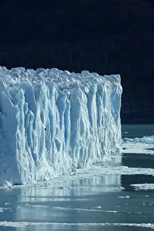 Icefield Prints: Terminal face of Perito Moreno Glacier and Lago Argentino. Parque Nacional Los Glaciares
