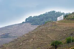 Terraced vineyards in the Cote Rotie district around Ampuis in northern Rhone planted