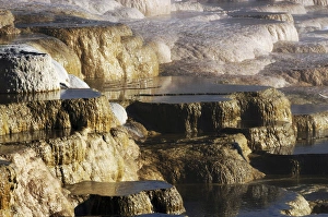 Terrace Prints: Terraces, Mammoth Hot Springs; Yellowstone National Park; Wyoming; USA