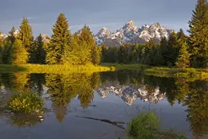 Images Dated 22nd July 2011: Teton Mountain reflect in backwater of Snake River at Scwabacher Landing in Grand