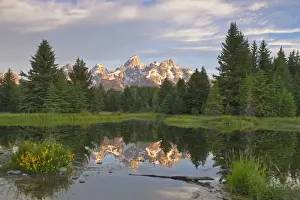 Images Dated 22nd July 2011: Teton Mountain reflect in backwater of Snake River at Scwabacher Landing in Grand
