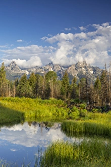 Images Dated 15th July 2012: Teton mountains relfect in Schwabacher Landing on the Snake River in Grand Teton National Park