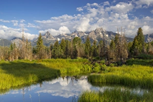 Images Dated 15th July 2012: Teton mountains relfect in Schwabacher Landing on the Snake River in Grand Teton National Park