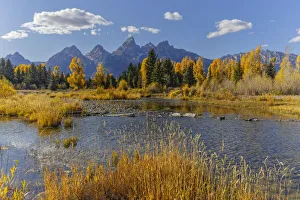 Teton Range reflected on beaver pond at Schwabacher Landing, Grand Teton National Park, Wyoming