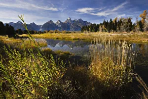 2022-08-19 Danita Delimont Dist 2325 images Collection: Teton Range from Schwabacher Landing, Grand Teton National Park, Wyoming