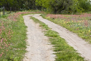 Images Dated 7th April 2010: Texas Hill Country, USA, North America. Back country road leading through large